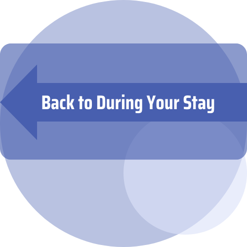 Back to During Your Stay